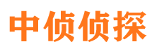 凤泉市私家侦探